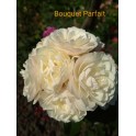 Bouquet Parfait