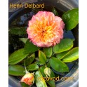 Henri Delbard